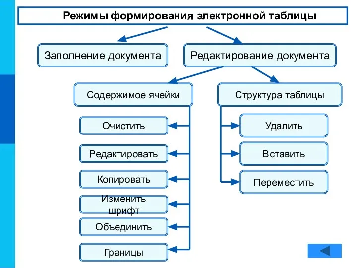 Режимы формирования электронной таблицы Заполнение документа Редактирование документа Содержимое ячейки Структура