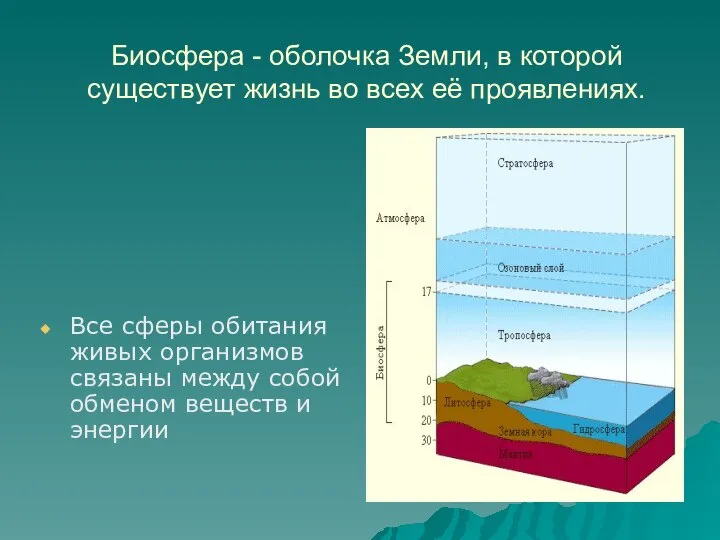 Биосфера - оболочка Земли, в которой существует жизнь во всех её