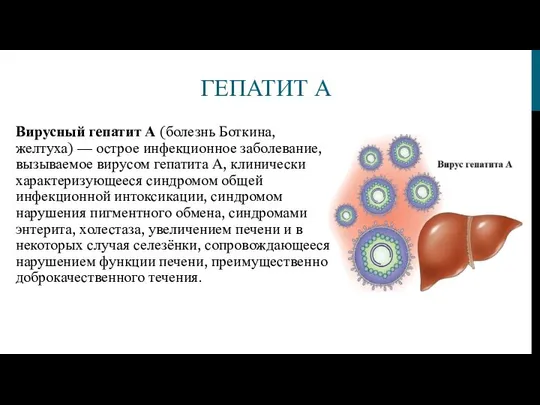 ГЕПАТИТ А Вирусный гепатит А (болезнь Боткина, желтуха) — острое инфекционное