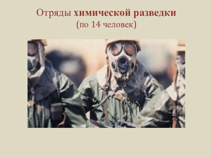 Отряды химической разведки (по 14 человек)