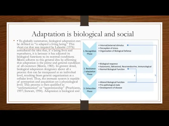 Adaptation is biological and social • To globally summarize, biological adaptation