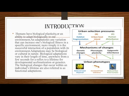 INTRODUCTION Humans have biological plasticity,or an ability to adapt biologically to