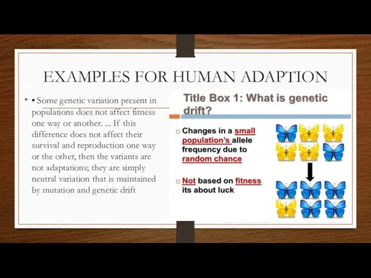 EXAMPLES FOR HUMAN ADAPTION ▪ Some genetic variation present in populations