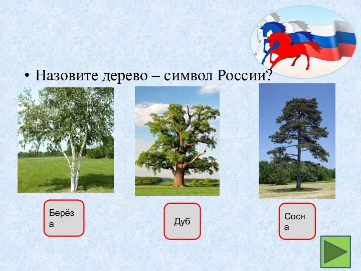 Назовите дерево – символ России? Берёза Дуб Сосна