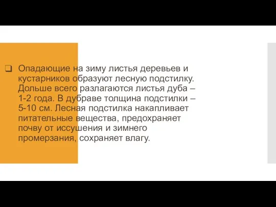 Опадающие на зиму листья деревьев и кустарников образуют лесную подстилку. Дольше