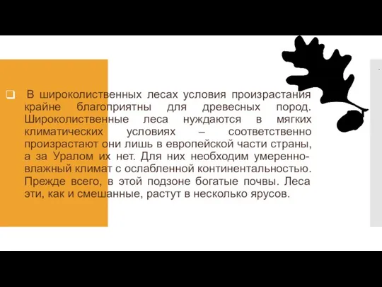 . В широколиственных лесах условия произрастания крайне благоприятны для древесных пород.