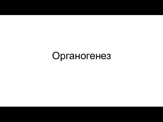 Органогенез