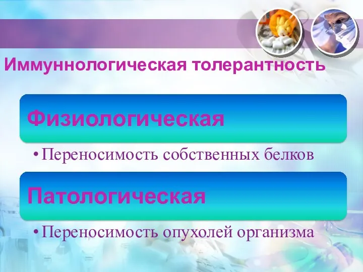 Иммуннологическая толерантность