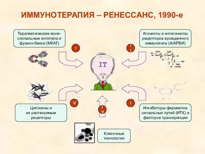 I II III IV V ИММУНОТЕРАПИЯ – РЕНЕССАНС, 1990-е