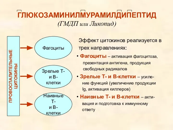 ГЛЮКОЗАМИНИЛМУРАМИЛДИПЕПТИД (ГМДП или Ликопид) ПРОВОСПАЛИТЕЛЬНЫЕ ЦИТОКИНЫ Зрелые Т- и В-клетки Наивные