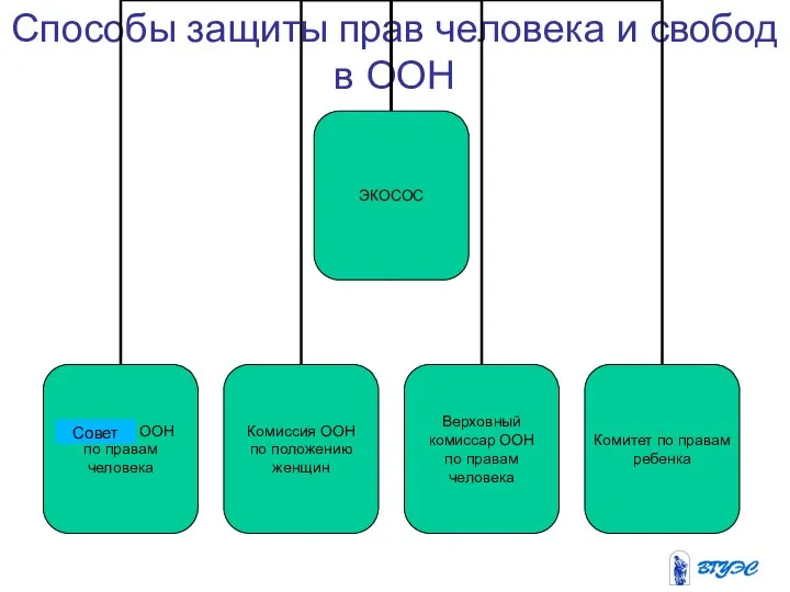 Способы защиты прав человека и свобод в ООН Совет