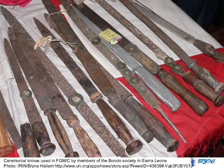 Ceremonial knives used in FGM/C by members of the Bondo society