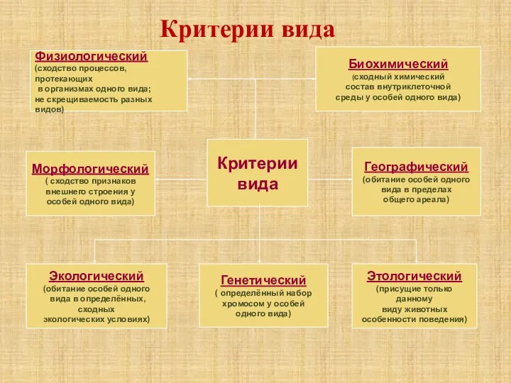 Критерии вида Физиологический (сходство процессов, протекающих в организмах одного вида; не