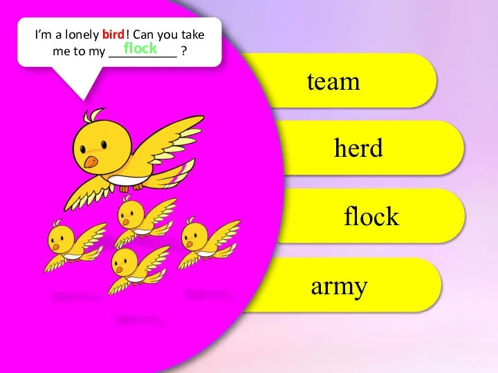 flock herd team army I’m a lonely bird! Can you take