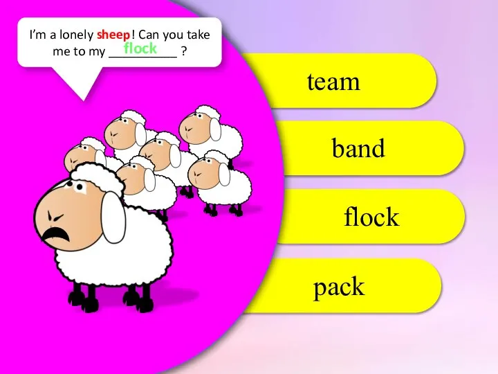 flock band team pack I’m a lonely sheep! Can you take