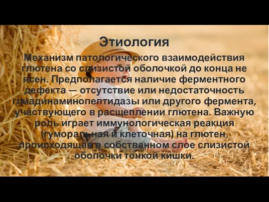 Этиология Механизм патологического взаимодействия глютена со слизистой оболочкой до конца не