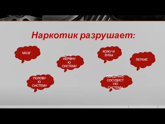 Наркотик разрушает: МОЗГ СЕРДЕЧНО-СОСУДИСТУЮ СИСТЕМУ ЛЕГКИЕ ПОЛОВУЮ СИСТЕМУ НЕРВНУЮ СИСТЕМУ КОЖУ И ЗУБЫ