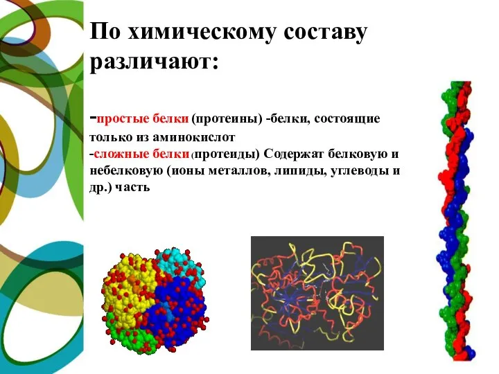 По химическому составу различают: -простые белки (протеины) -белки, состоящие только из