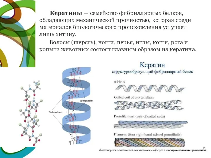 Кератины — семейство фибриллярных белков, обладающих механической прочностью, которая среди материалов