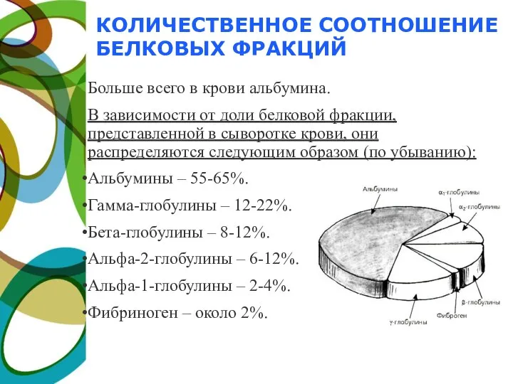 КОЛИЧЕСТВЕННОЕ СООТНОШЕНИЕ БЕЛКОВЫХ ФРАКЦИЙ Больше всего в крови альбумина. В зависимости