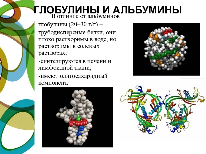 ГЛОБУЛИНЫ И АЛЬБУМИНЫ В отличие от альбуминов глобулины (20–30 г/л) –