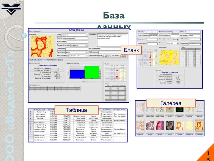 ООО «ВидеоТесТ» 13 База данных