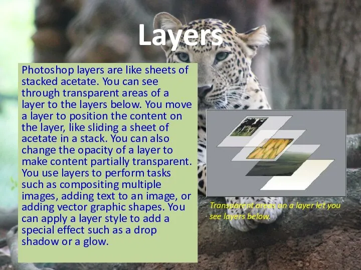 Layers Photoshop layers are like sheets of stacked acetate. You can