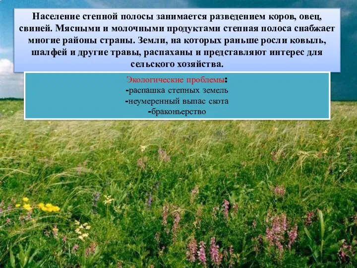 Население степной полосы занимается разведением коров, овец, свиней. Мясными и молочными