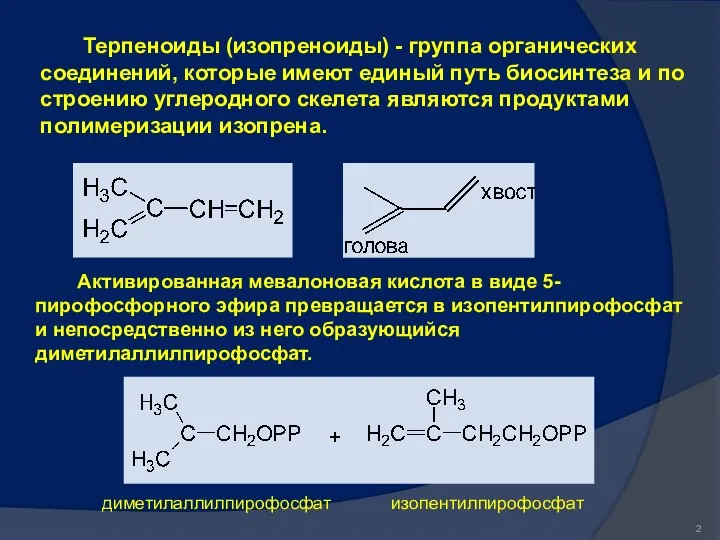 Терпеноиды (изопреноиды) - группа органических соединений, которые имеют единый путь биосинтеза