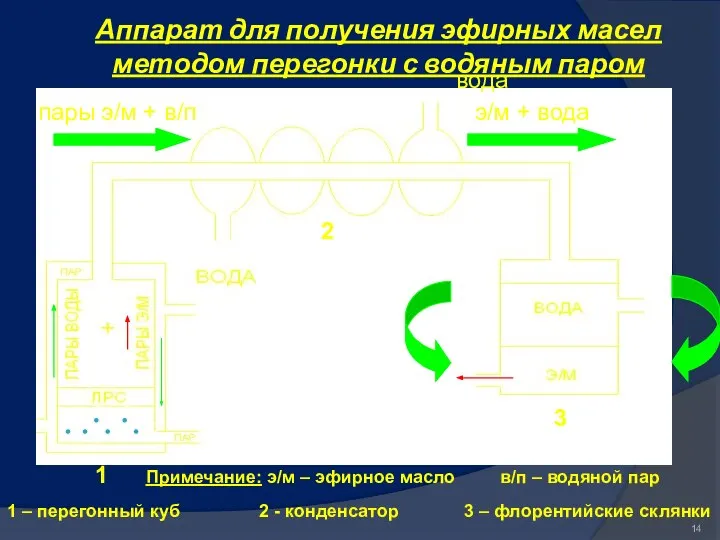 Аппарат для получения эфирных масел методом перегонки с водяным паром вода