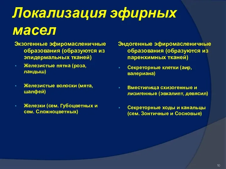 Локализация эфирных масел Экзогенные эфиромасленичные образования (образуются из эпидермальных тканей) Эндогенные