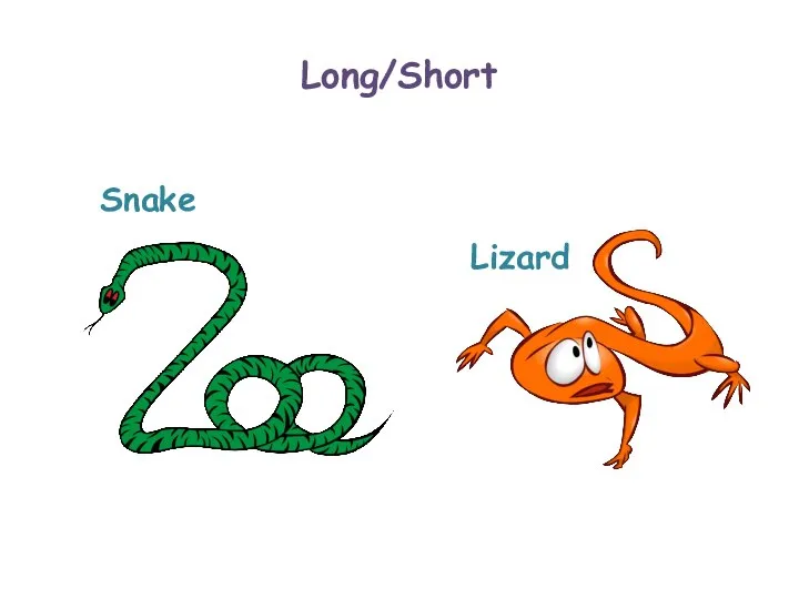 Long/Short Lizard Snake