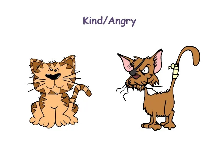 Kind/Angry