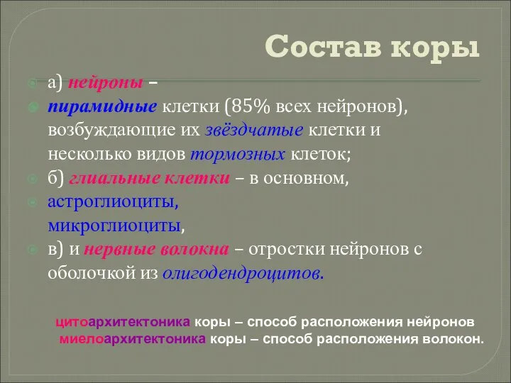 Состав коры а) нейроны – пирамидные клетки (85% всех нейронов), возбуждающие