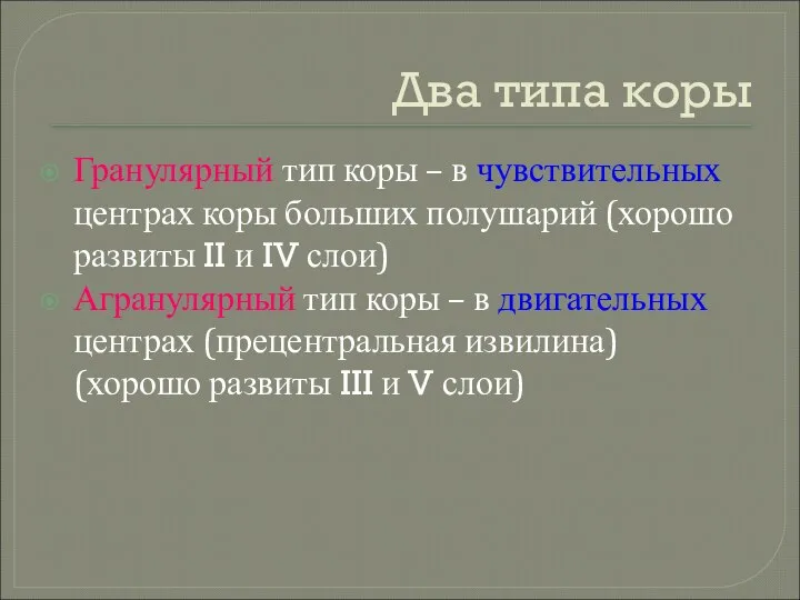 Два типа коры Гранулярный тип коры – в чувствительных центрах коры