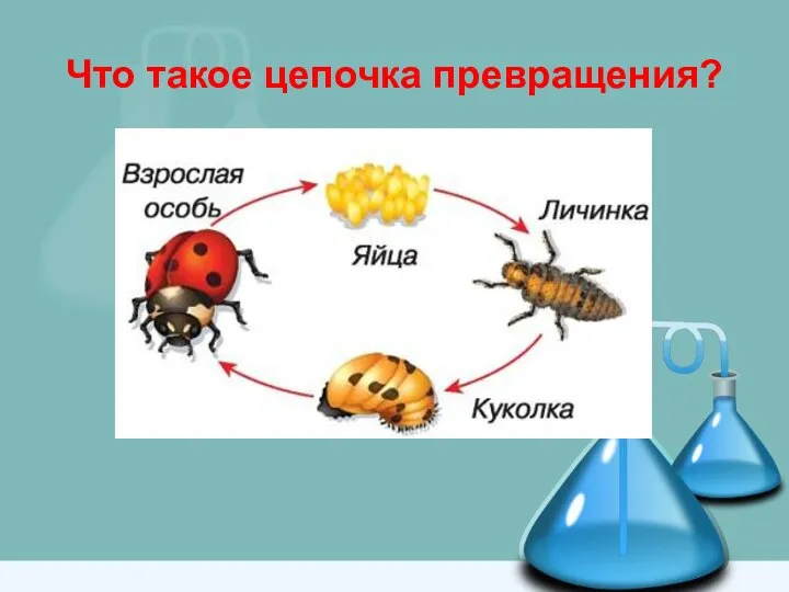 Что такое цепочка превращения?