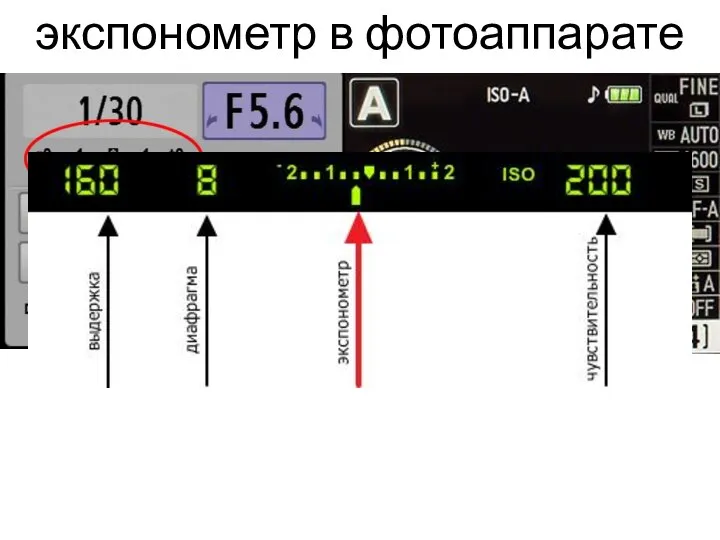 экспонометр в фотоаппарате