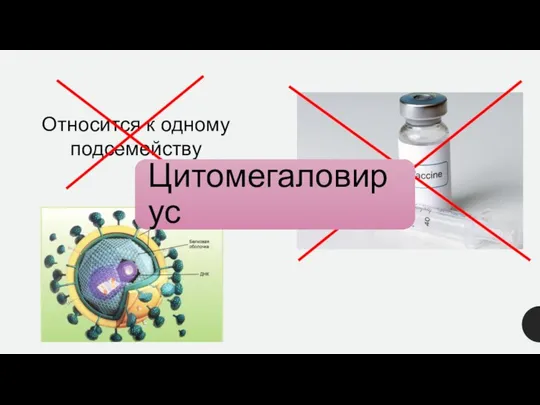 Относится к одному подсемейству