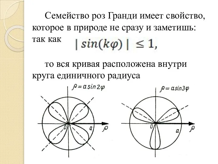 Семейство роз Гранди имеет свойство, которое в природе не сразу и