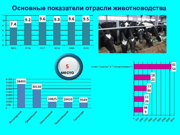 Основные показатели отрасли животноводства