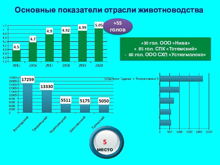 Основные показатели отрасли животноводства +55 голов +30 гол. ООО «Нива» +