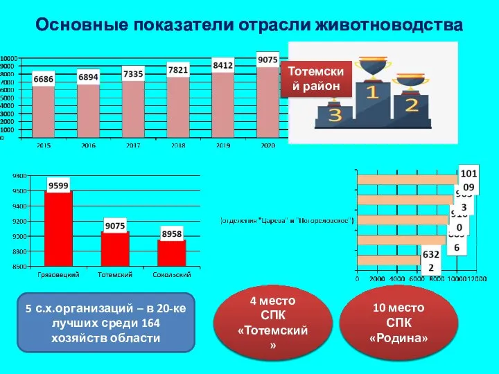 Основные показатели отрасли животноводства Тотемский район 5 с.х.организаций – в 20-ке