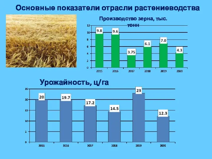 Основные показатели отрасли растениеводства Урожайность, ц/га Производство зерна, тыс.тонн