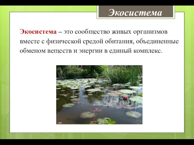 Экосистема Экосистема – это сообщество живых организмов вместе с физической средой