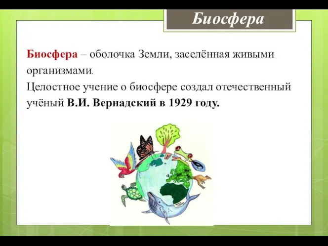 Биосфера Биосфера – оболочка Земли, заселённая живыми организмами. Целостное учение о