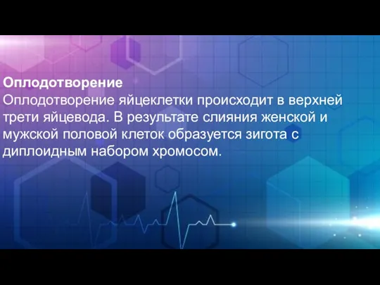 Оплодотворение Оплодотворение яйцеклетки происходит в верхней трети яйцевода. В результате слияния