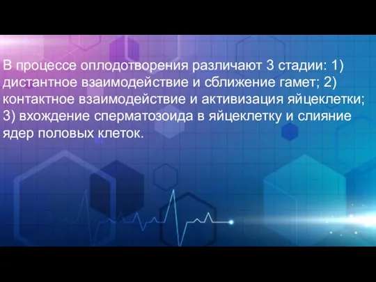 В процессе оплодотворения различают 3 стадии: 1) дистантное взаимодействие и сближение