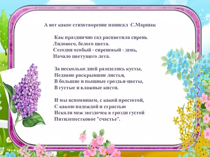 А вот какое стихотворение написал С.Маршак Как празднично сад расцветила сирень