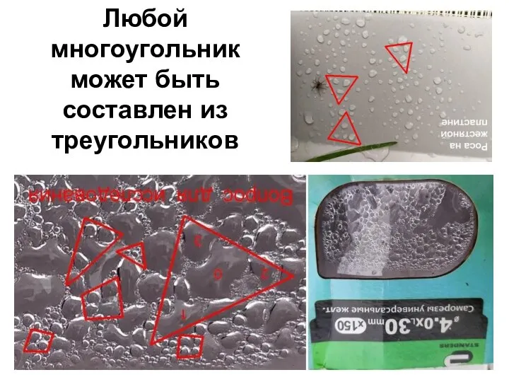 Любой многоугольник может быть составлен из треугольников