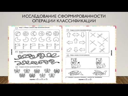 ИССЛЕДОВАНИЕ СФОРМИРОВАННОСТИ ОПЕРАЦИИ КЛАССИФИКАЦИИ